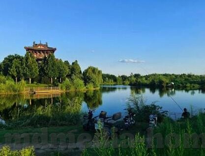 正在播放麻豆传媒-正在播放，麻豆传媒，创作的边界与影响